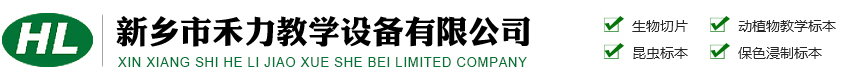 電動(dòng)單梁起重機(jī)-門(mén)式起重機(jī)-蕪湖市伯爾機(jī)械銷(xiāo)售有限公司